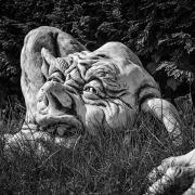 Fairy Tale Gnome Troll Mythical Creatures