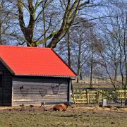 Barn Shed Paddock Sheep Livestock Fence Hay-Rack