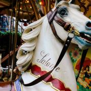 Colorful Carousel Horse