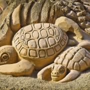Sandburg Art Sand Sculptures Sculpture Sand