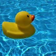 Pool Background Squeaky Duck Water Bath Duck