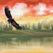 Digital Art Digital Painting Eagle Artwork Art