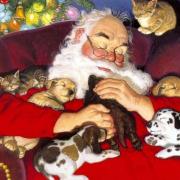 Santa And His Pets