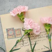 Letter Envelope Flowers Stamps Handwritten