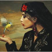 Woman Hummingbird Fantasy Portrait Sunset Bird