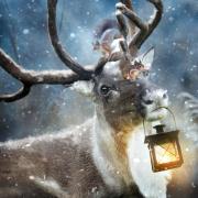 Deer Squirrel Winter Antler Lamp Snow