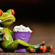 Frog Movie Theater Popcorn Fun Cute Figure Funny