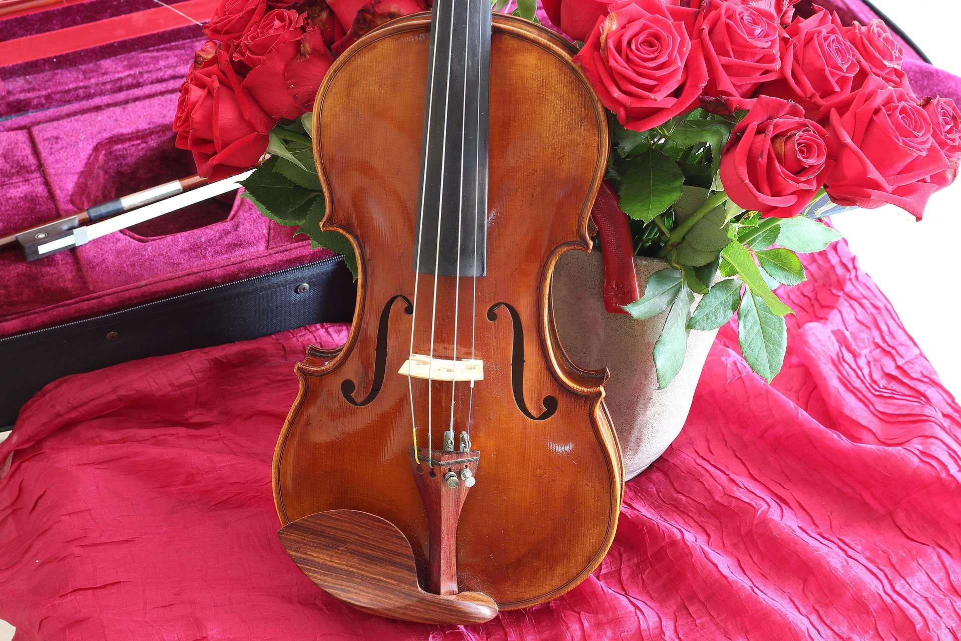 Виола скрипка