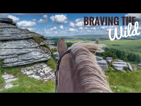 Young Horse’s First Big Adventure on Dartmoor! #Video
