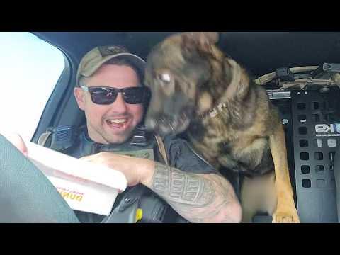 When Police Dogs Forget Their Job #Video