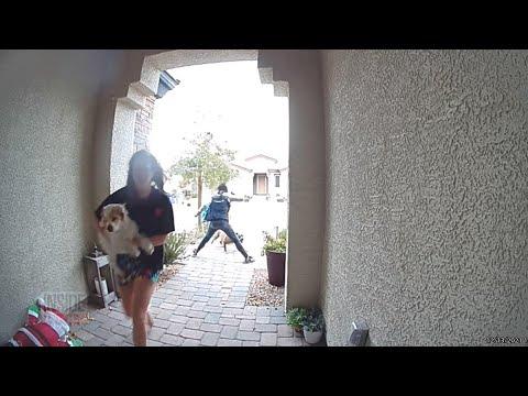 Delivery Driver Saves Woman and Her Tiny Dog From Pit Bull #Video