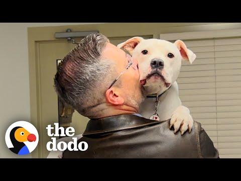 Guy Adopts 'Broken' Dog #Video