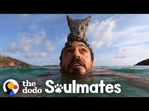 5-Week-Old Kitten Loves Swimming With Her Dad #Video