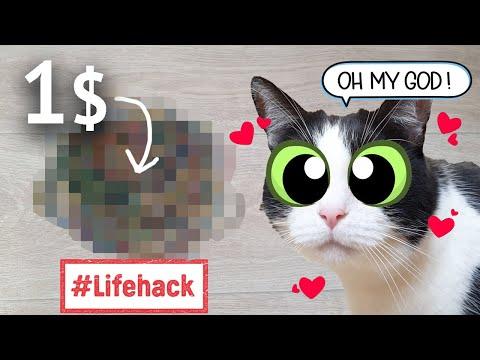 $1 Toy - all the Cats Can't Resist it - Lifehack #Video
