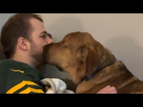 Blind rescue pup melts guy who didn't want him #Video