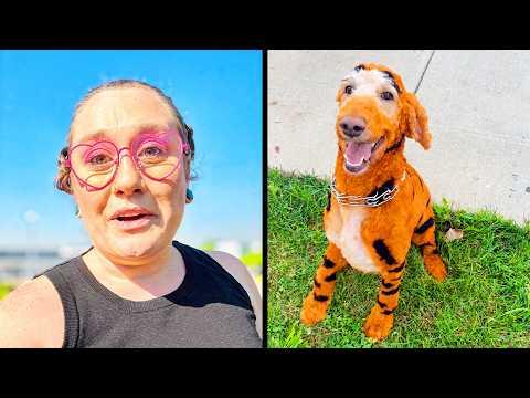 He Got A Makeover | OUR Daily Dose of Pets #Video