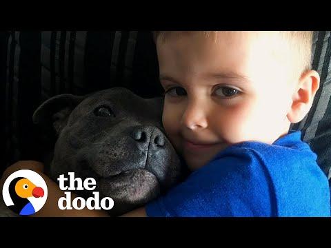 A Tribute To A Boy And His Very Best Friend #Video