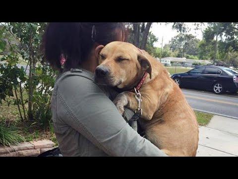 When hugs is the way animals showing love to you #Video