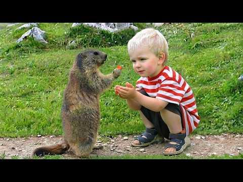 Animals Can't Hold Back Their Emotions Around Tiny Humans #Video
