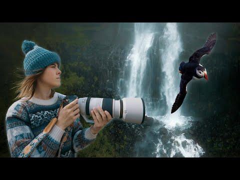 The most INCREDIBLE place to photograph PUFFINS in Iceland! #Video