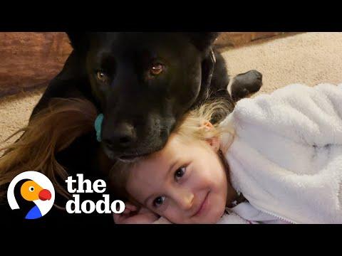 Dog Is Obsessed With Watching TV With His Human Sister #Video