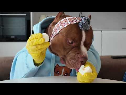 $100 for an Egg? Worth it #Video