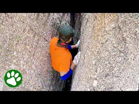 Brave man climbs down narrow ravine after hearing cries for help #Video