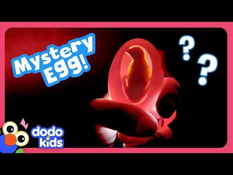 What Kind Of Baby Animal Is In This Egg? | Dodo Kids #Video