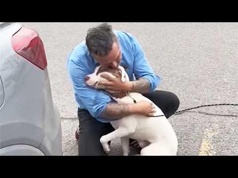 Man Rescued a Dog From The Street, Then Met its Real Family #Video