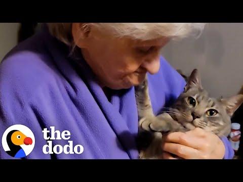 Grandma Is Hiding Her True Feelings About Her Cat #video