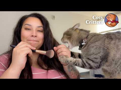 This Cat Decided She’s Not Doing Her Makeup Today #Video
