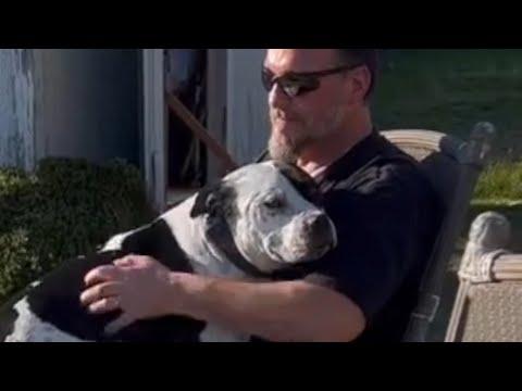 Lonely dog is so happy to finally have a family #Video