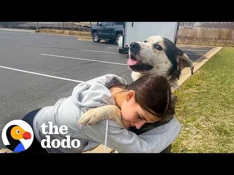 Family Goes Out For Errands And Comes Home With A Dog  #Videoo