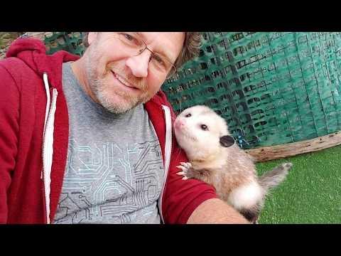 When Animals Absolutely Become Your Friends in the Sweetest Way! #Video