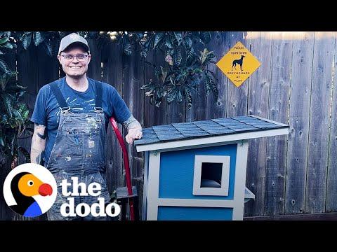 Guy Builds A Tiny House For A Stray Cat In His Yard #Video