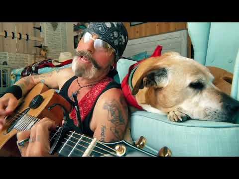 Just a song and a dog #Video