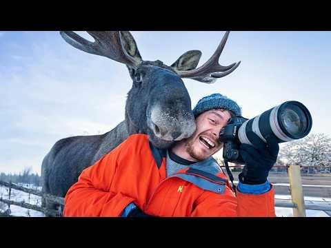 When Animals Are Obsessed With Photographers in the Sweetest Way! #Video