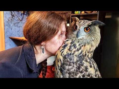 You’ll Die Laughing at These Hilarious Owls! #Video