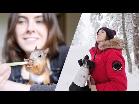 FINDING ROO: I return to find the baby squirrel I rescued #Video