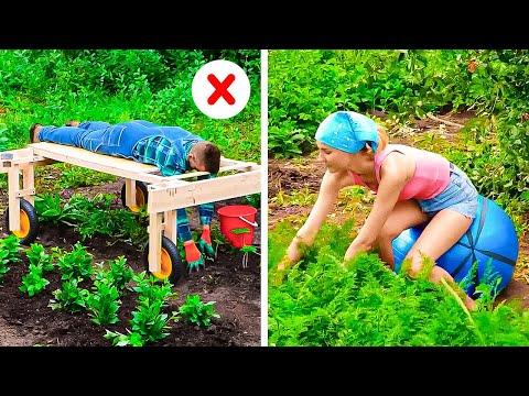 From Farm to Table: Fun and Creative Harvesting Hacks #Video