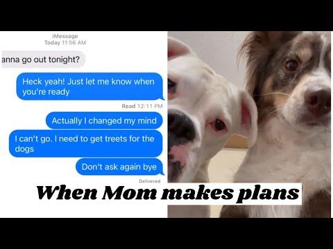 When Mom makes plans - Layla The Boxer #Video