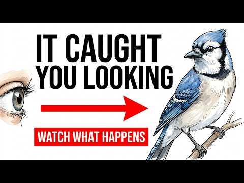 What Birds Do the Second They Know You’re Watching — You’ve Never Noticed #Video