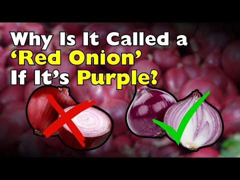 Why Is It Called a 'Red Onion' If It’s Purple? #Video
