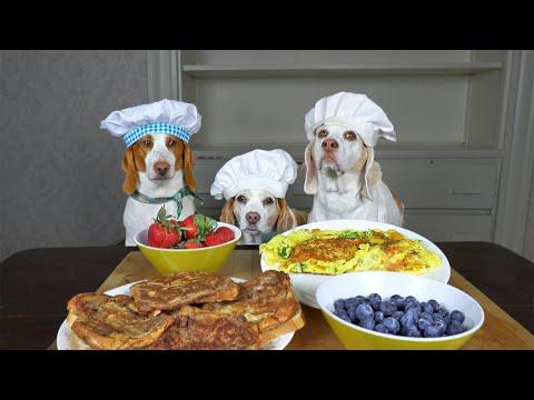 Dogs Cook Breakfast Video: Tasty Breakfast Ideas w/Funny Dogs Maymo, Penny & Potpie
