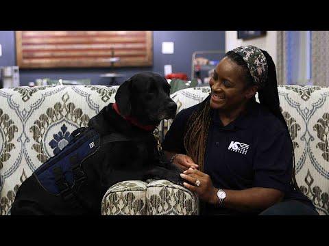 Veteran and Loving Pup are Completely Inseparable #Video