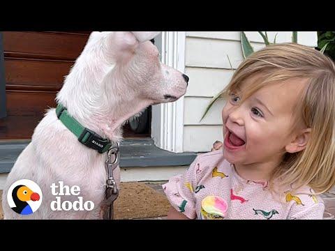 2-Year-Old Girl Convinces Her Mom To Adopt A Deaf Puppy #Video
