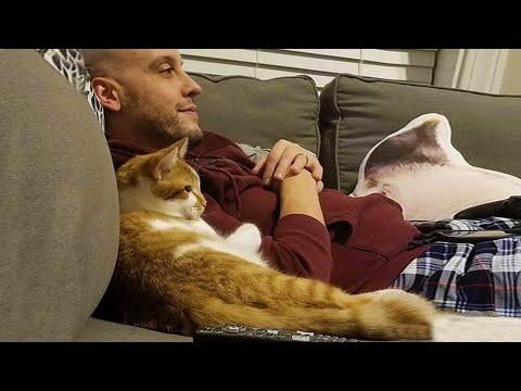 When Your Cat Copies You a Little Too Much #Video