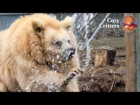 They Left Her To Die… But She Still Lives Like Nothing Happened #Video