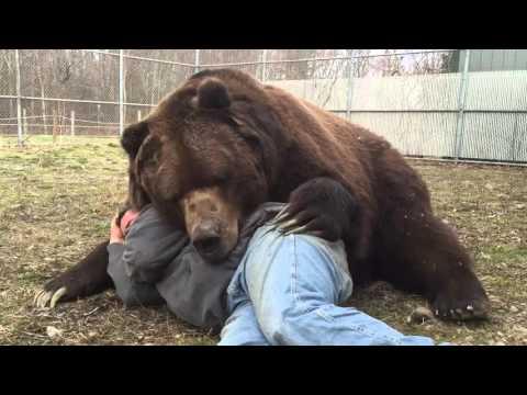 I Got Bear Drool On My Neck! Jimbo and Jim #Video