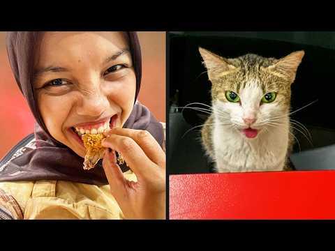 The Perfect Date | YOUR Daily Dose of Pets  #Video